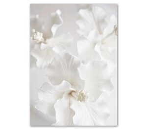 Plakat kwiaty White Touch