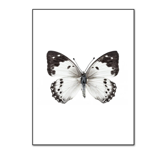 Plakat na ścianę Butterfly Wings